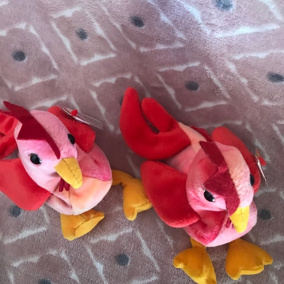 Rare 1996 Ty Beanie Struts Collector Bundle - Picture 5 of 9